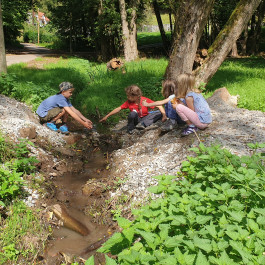 Montessori Schule Mühlheim