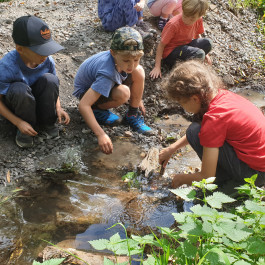Montessori Schule Mühlheim