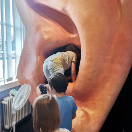 Montessori Schule Mühlheim