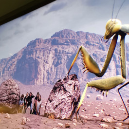 Montessori Schule Mühlheim