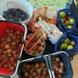 Montessori Schule Mühlheim