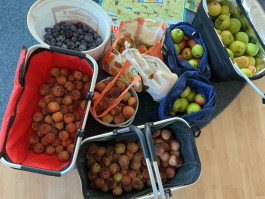 Montessori Schule Mühlheim