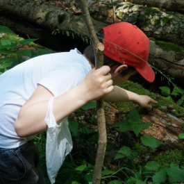 Montessori Schule Mühlheim