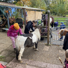 Montessori Schule Mühlheim