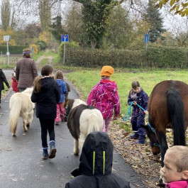 Montessori Schule Mühlheim