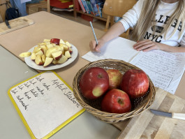 Montessori Schule Mühlheim