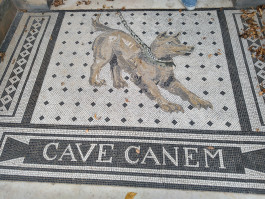 Montessori Schule Mühlheim