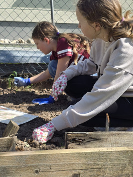 Montessori Schule Mühlheim