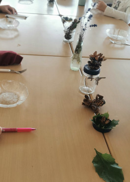 Montessori Schule Mühlheim